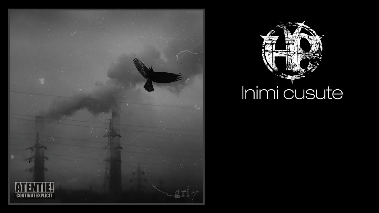 Watch Inimi cusute - Gri - H8 on YouTube Watch Inimi cusute - Gri - H8 on YouTube