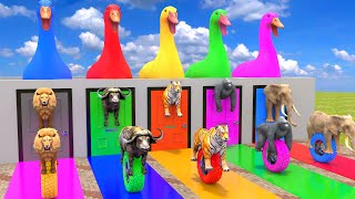 Download Lagu Long Slide Game With Lion Elephant Gorilla Hippopotamus Tiger - 3d Animal Game - Funny 3d Animals MP3 Download Lagu Long Slide Game With Lion Elephant Gorilla Hippopotamus Tiger - 3d Animal Game - Funny 3d Animals MP3