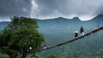 International large-scale learning assessments: benefits and risks