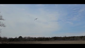 xlpower specter NME Vbar EVO, theta running at 760us