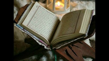 ( ..ولاتخافي ولا تحزني إنا رادوه إليك..) تلاوة رائعة من سورة القصص بصوت الشيخ ثامر الزير ١٤٣٧