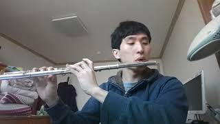 Flute Performance IU-Dear Name(아이유-이름에게)