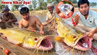 Diamond Wali Fish Nikal Ayi Lottari Lag Gayi