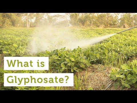 What Is Glyphosate? (Video)