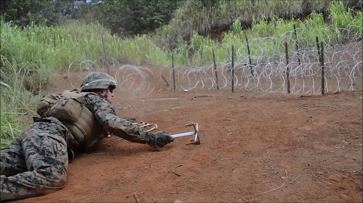 Marines and Army Combat Engineers Train to Breach Obstacles