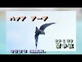 A09 -  837  女の旅路 音羽しのぶ