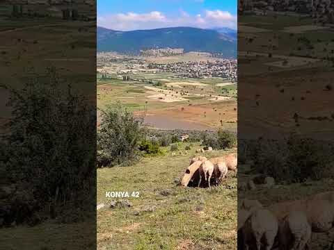 Emanet etmiştim körpe kuzumu Engin Nurşani