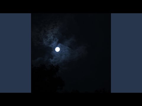 Ess.abimm: Is This Too Good To Be True?