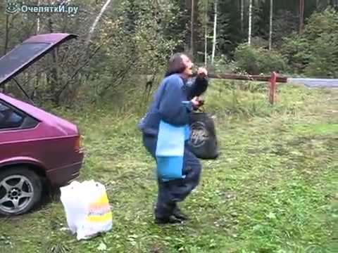 Гоголь набрал грибов!