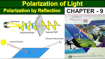 Polarization of Light | Brewster’s Law | Polarized Light | Class 11 physics | Study With ME