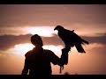 The Best Falconry Meeting in the Heart of Europe –Opočno 2017