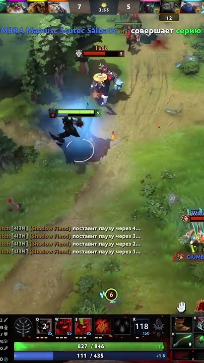 Хотели бы себе такого сф?? twitch: Vilkarv| #twitch #стример #dota2 # ...