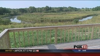 Handicapped Hunting Area