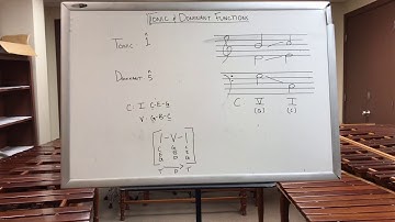 Tonic &  Dominant Function