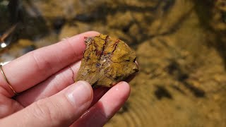 pennsylvania creek loaded with jasper