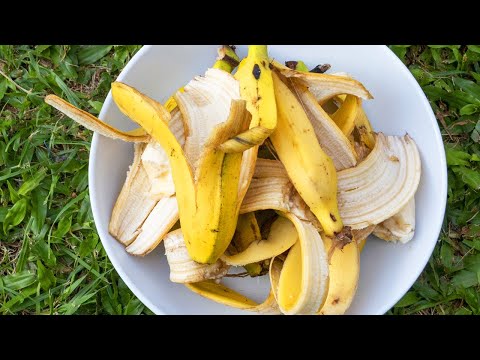 Video: Useful Home Uses Of Banana Peels