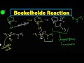 Boekelheide reaction full detailed mechanism  organic reaction mechanism  chemistry portal 