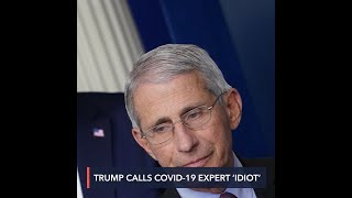 Trump slams gov't COVID-19 expert Fauci 'and all these idiots'