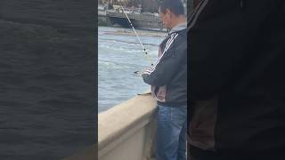 Поймал чайку на спиннинг суровый рыбак в Сочи