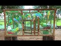 BUDGIES Love Birds NEW Cage Making at Home | Small Scale IndustrieS