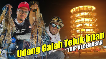 HASIL PADU TRIP KECEMASAN | Udang Galah Teluk Intan