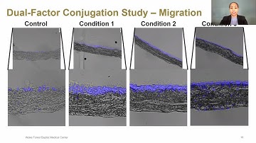 VESS Winter Meeting 2022 Session 3 Talk 5
