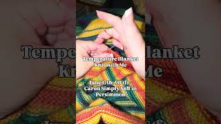 Temperature Blanket Knit with Me - June 17th