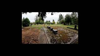 Random Walker Lee Mission Cemetary #mannyfreewall #salemoregon #cemetery #walking #graves Random Walker Lee Mission Cemetary #mannyfreewall #salemoregon #cemetery #walking #graves