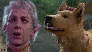 Astarion loves dogs! Whos a good dog!?
Adorable stuff... even for the animals the voice actors are amazing! πππ
Check out my other videos if you are curious for different scenes. Let me know if you are curious for any scene that you cant find and I will post it for you. Ive recorded pretty much all conversations with Astarion.
Also I have to say that the actors in this game are amazing!
Thank you for watching this and come by to my stream on Twitch sometimes (Every Tuesday 20:30 CET)!
#bg3 #baldursgate3 #gamergirl
If you wanna support me and what Im doing you can do it on my Patreon and get awesome benefits of it! https://www.patreon.com/ResonatingLo
You can find me at:
Discord: https://discord.gg/hcXp3mJ
https://www.twitch.tv/resonatinglo
Resonating Lo Astarion loves dogs! Whos a good dog!?