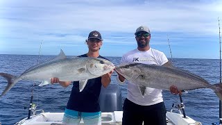 Non-Stop Amberjack Fishing! (Florida boat fishing catch, clean, cook) by JK Fishing 487 views 1 year ago 14 minutes, 33 seconds