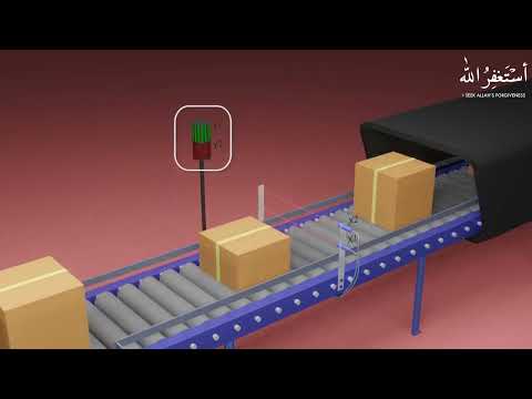 Detect and sort