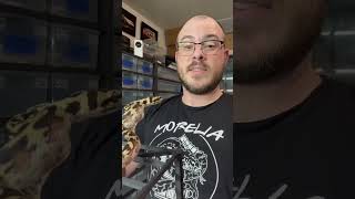 Celebrity Defensive grumpy Papuan Carpet Net Worth