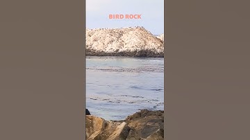 Thumbnail of Everything I did at 17 miles drive#california#17miledrive#viral#viralshorts