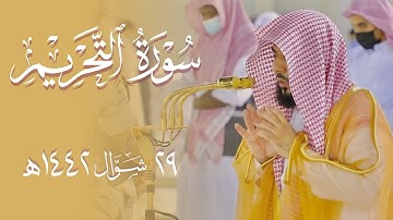 تلاوة مليئة بالإبداع والجمال لسورة التحريم كاملة | الشيخ د. عبدالله الجهني فجر 29-10-1442هـ.