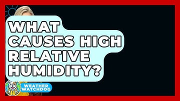 What Causes High Relative Humidity? - Weather Watchdog