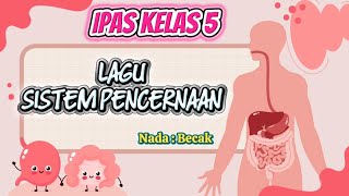 LAGU SISTEM PENCERNAAN || Materi IPAS Kelas 5