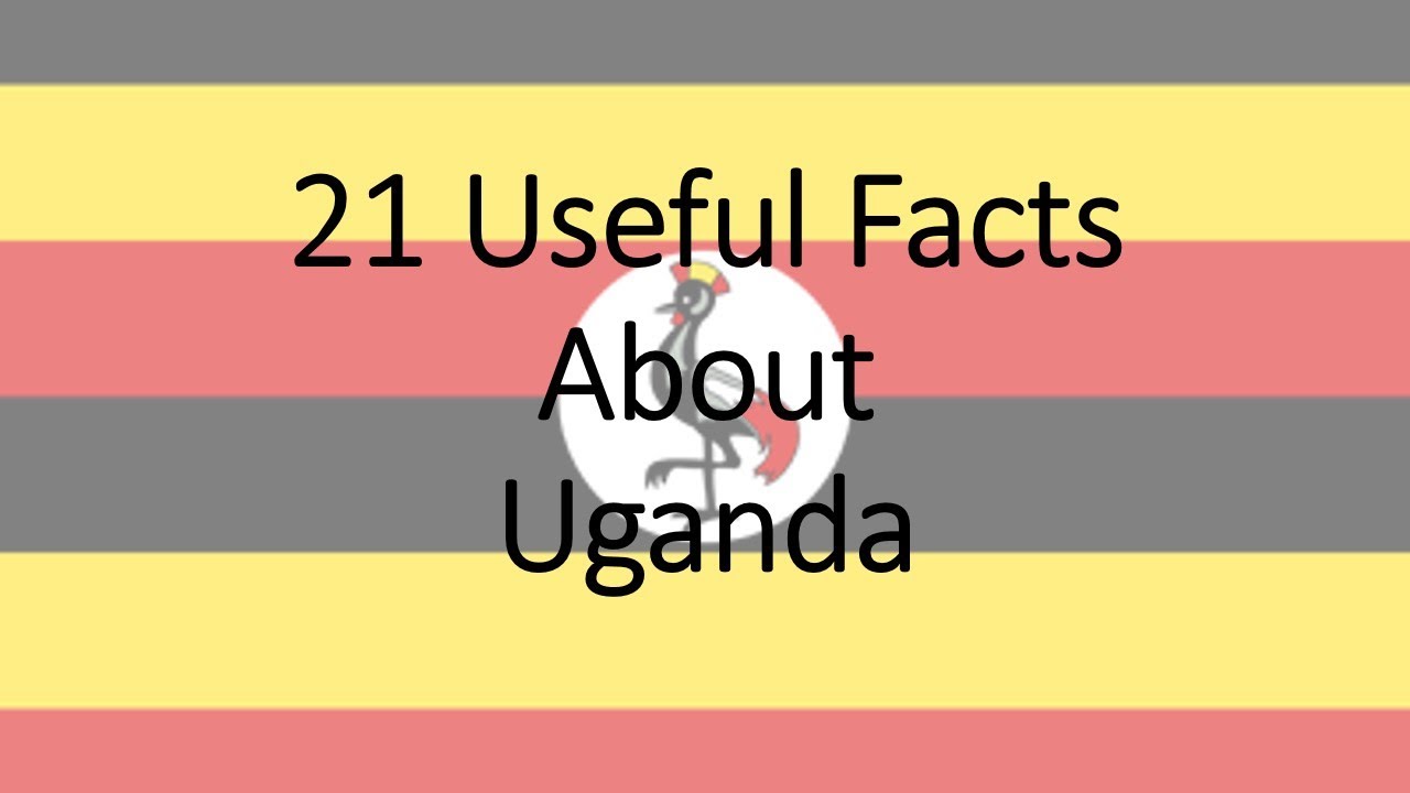 21 Useful Facts About Uganda YouTube