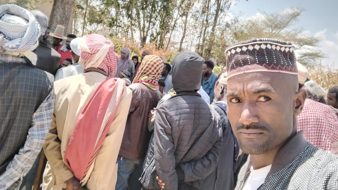 ሁልባራግ ወረዳ ላይ ማታ ቢላዋንጃ ቀበሌ የተነሳው እሳት አደጋ በአላህ እግዛ በህብረተሰቡና በወረዳው መንግስት ትብብር ርብርብ ብዙ እንዳይዘመት ተድጓል