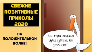 Позитивные свежие приколы 2020, отдохни от негатива и коронавируса! Будь на позитиве, позитивнее 18