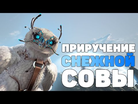 можно ли приручить сову можно ли приручить сову