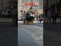ليالي الأنس في فيينا