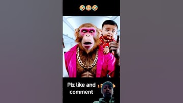 #comedy #funny #monkey #facts #ai #aivlog #goldenretreivers #goldenretreiver #shortvideo #pets