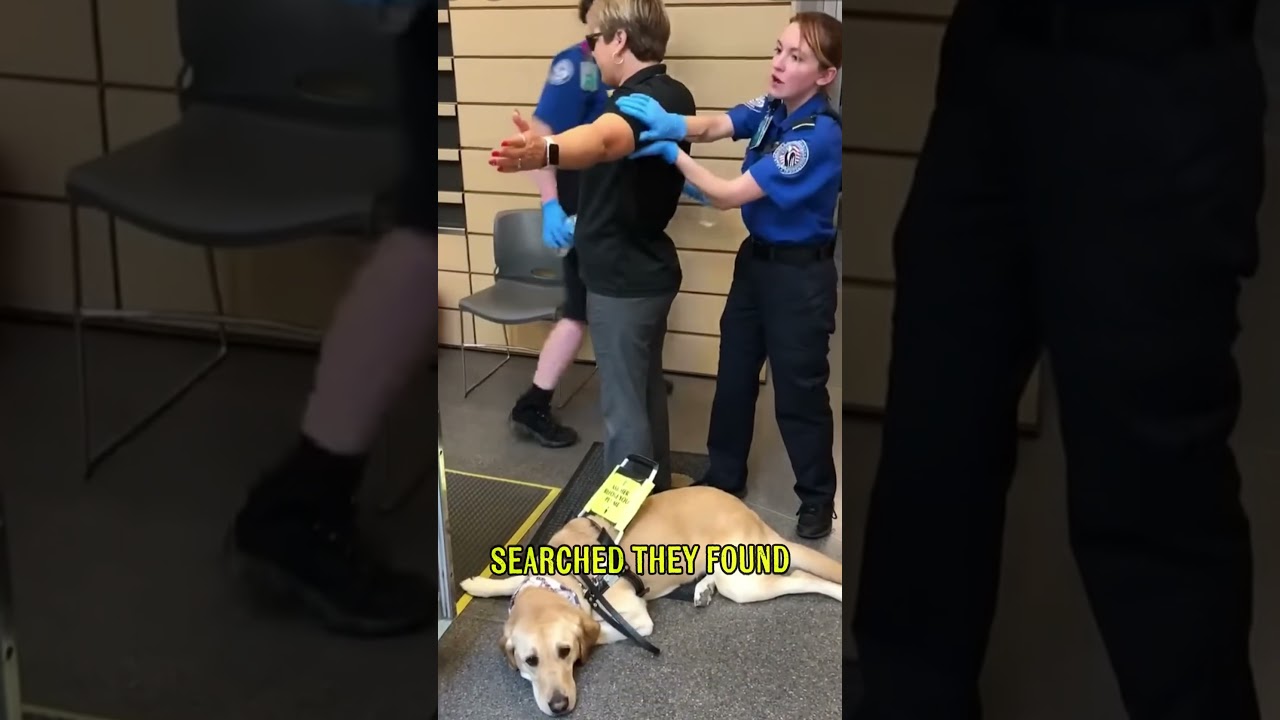 Jack Doherty Just Got Arrested