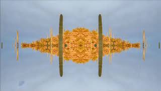 Faran Ensemble - Rujum