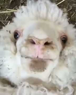 8 сентября 2019 г.