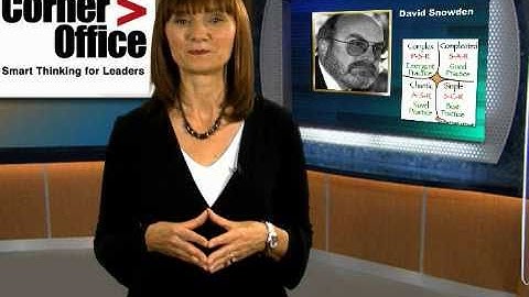 Corner Office Episode #1 (part 1 of 2): Decision Making in Complex Environments - David Snowden