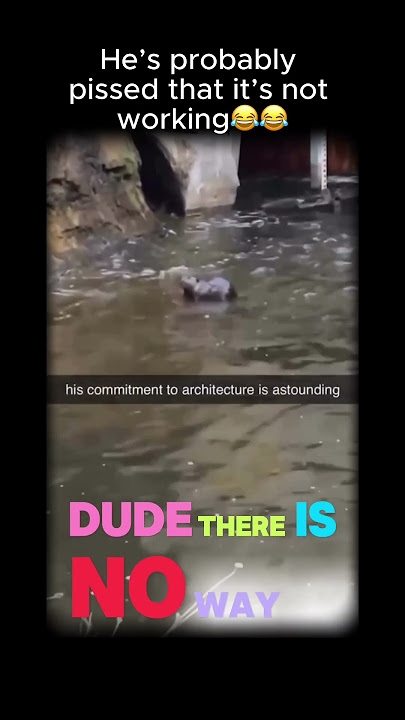 Download lagu He must've gotten his degree 😂😂😂