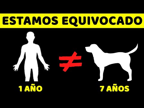 Video: 15 mitos del perro desacreditados