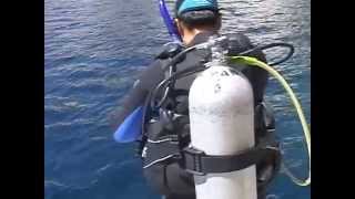 ISLA SAN PEDRO NOLASCO