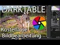 Kostenloses Bildbearbeitungsprogramm 👍🏽 RAW Konverter DARKTABLE